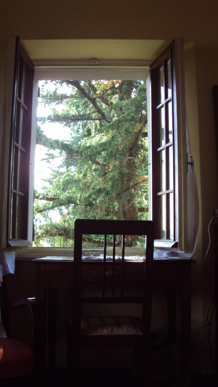 Albergo La Baita Corfino Ruang foto